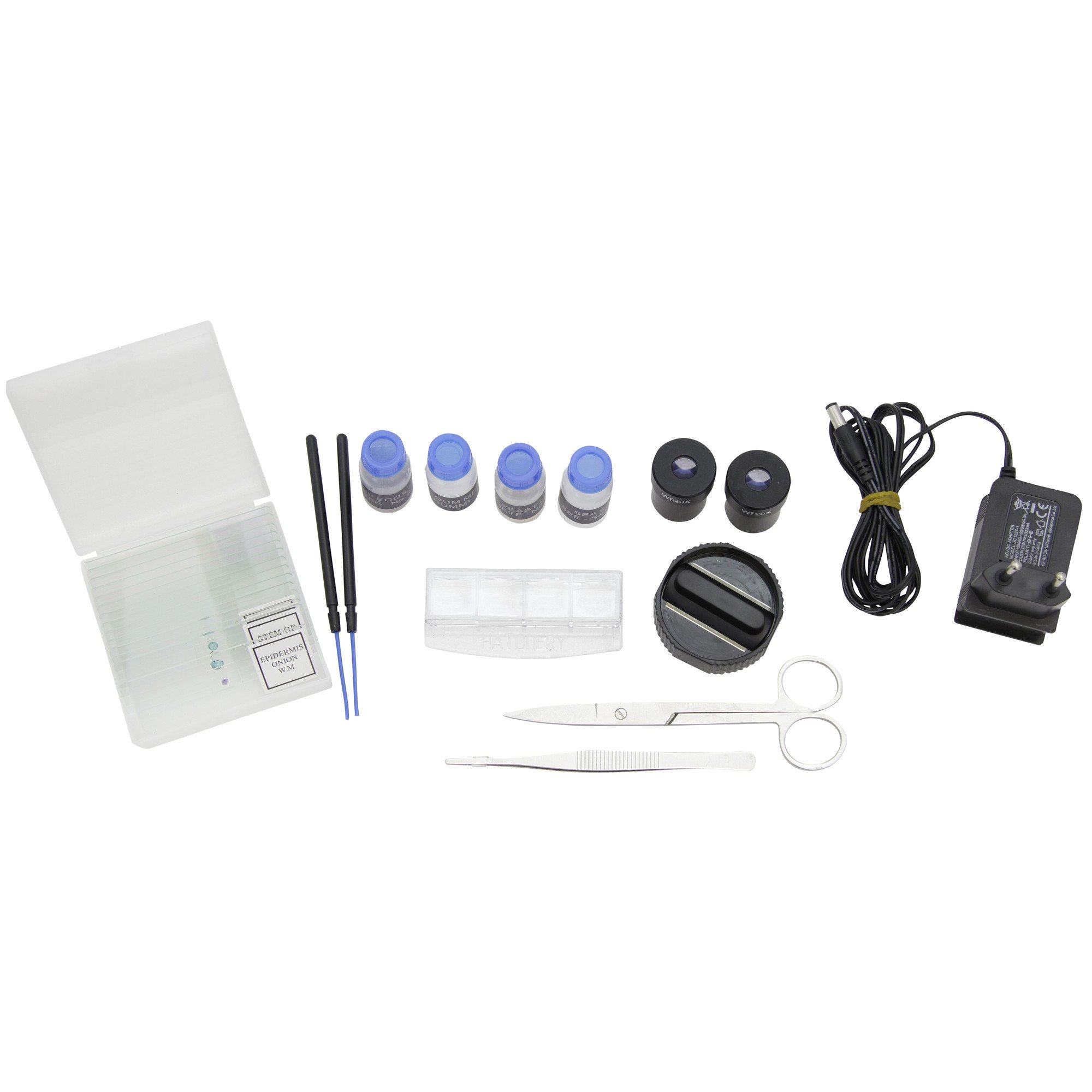 Omegon Mikroskop Binofield, 40x-800x, LED | Präzise Beobachtungen mit beidäugigem Sehen | Für Schule und Hobby | Inklusive umfangreichem Zubehör | Auflicht- und Durchlichtmikroskop