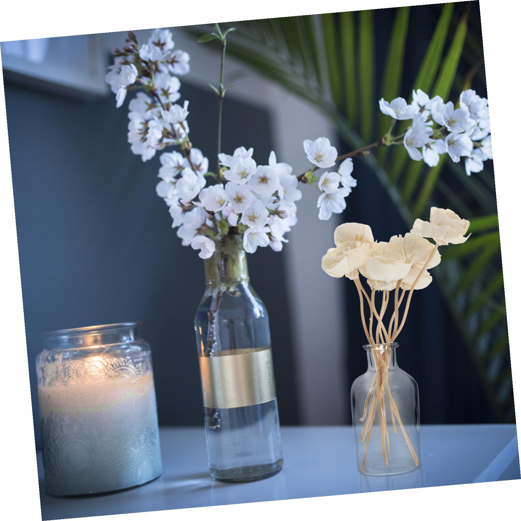 Ciieeo Mikado 32 Piezas Flor De Tong Difusor Aromas Ambientador Natural Aceite Difusores De Aceite Perfumado para Decoración Xherramienta Difusor De Perfume