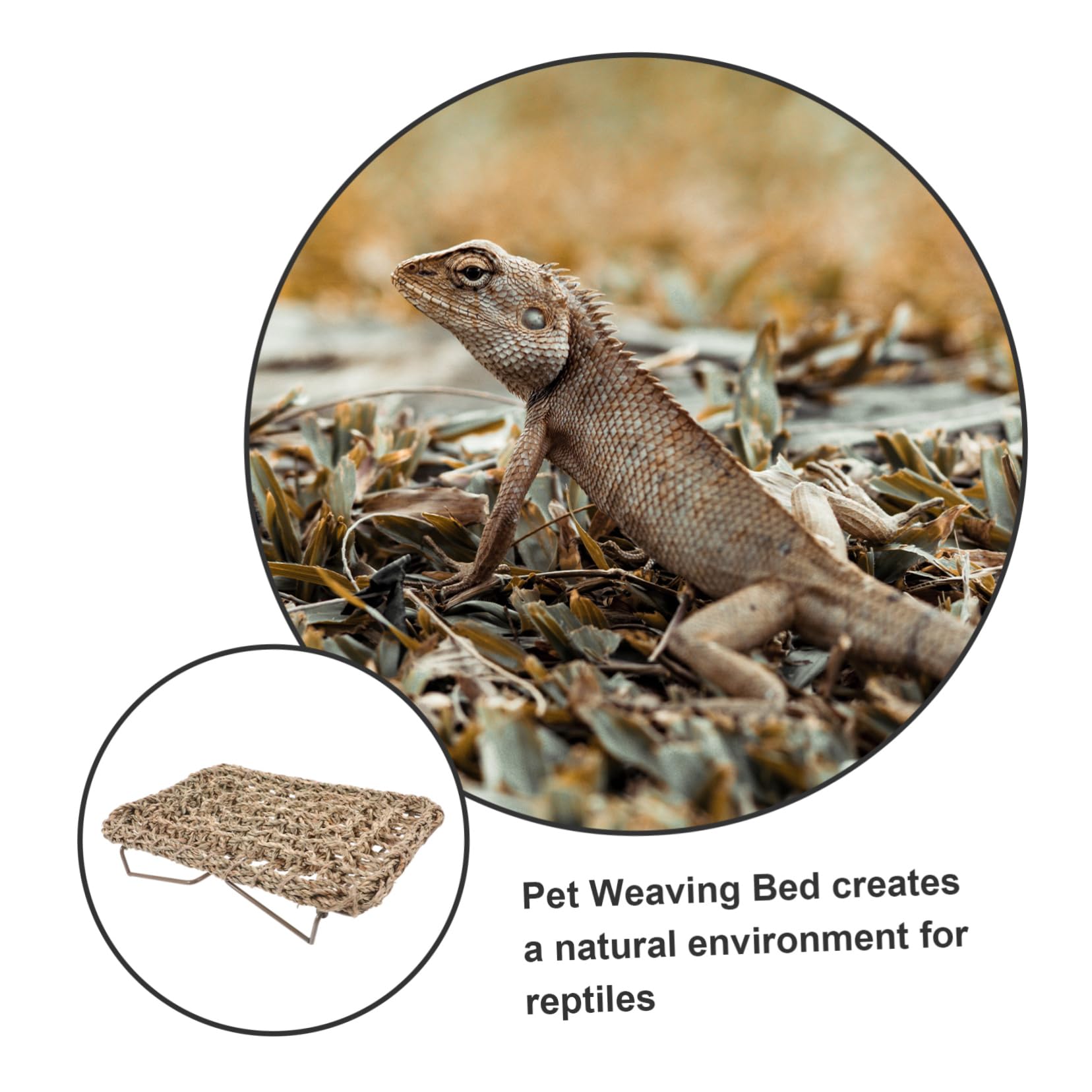 Angoily Reptilienbed Lizard Lounger Mit Stabilem Eisenrahmen Gewebte Strohmatte Schlafplatz Für Eidechsen Und Bartagamen Vielseitiges Haustierzubehör