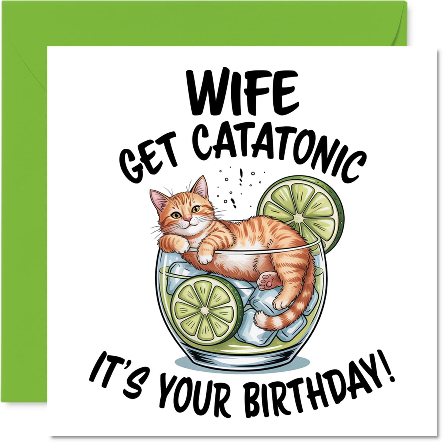 Wife Birthday Card - Catatonic - Happy Birthday Card for Wife from Husband Partner, 145mm Cute Animal Design Bday Greeting Cards