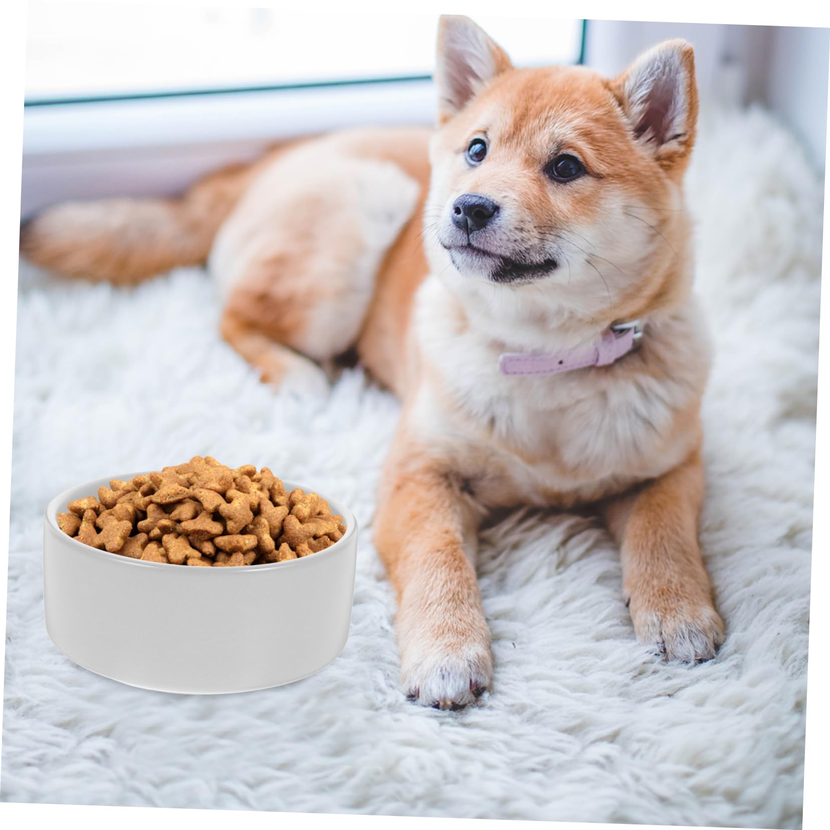 YARNOW 1 Juego Cuenco para Mascotas comedero con Soporte contenedor de Agua para Mascotas Cuencos para Gatos Comida de Perro comedero para Cachorros de cerámica para Cachorros