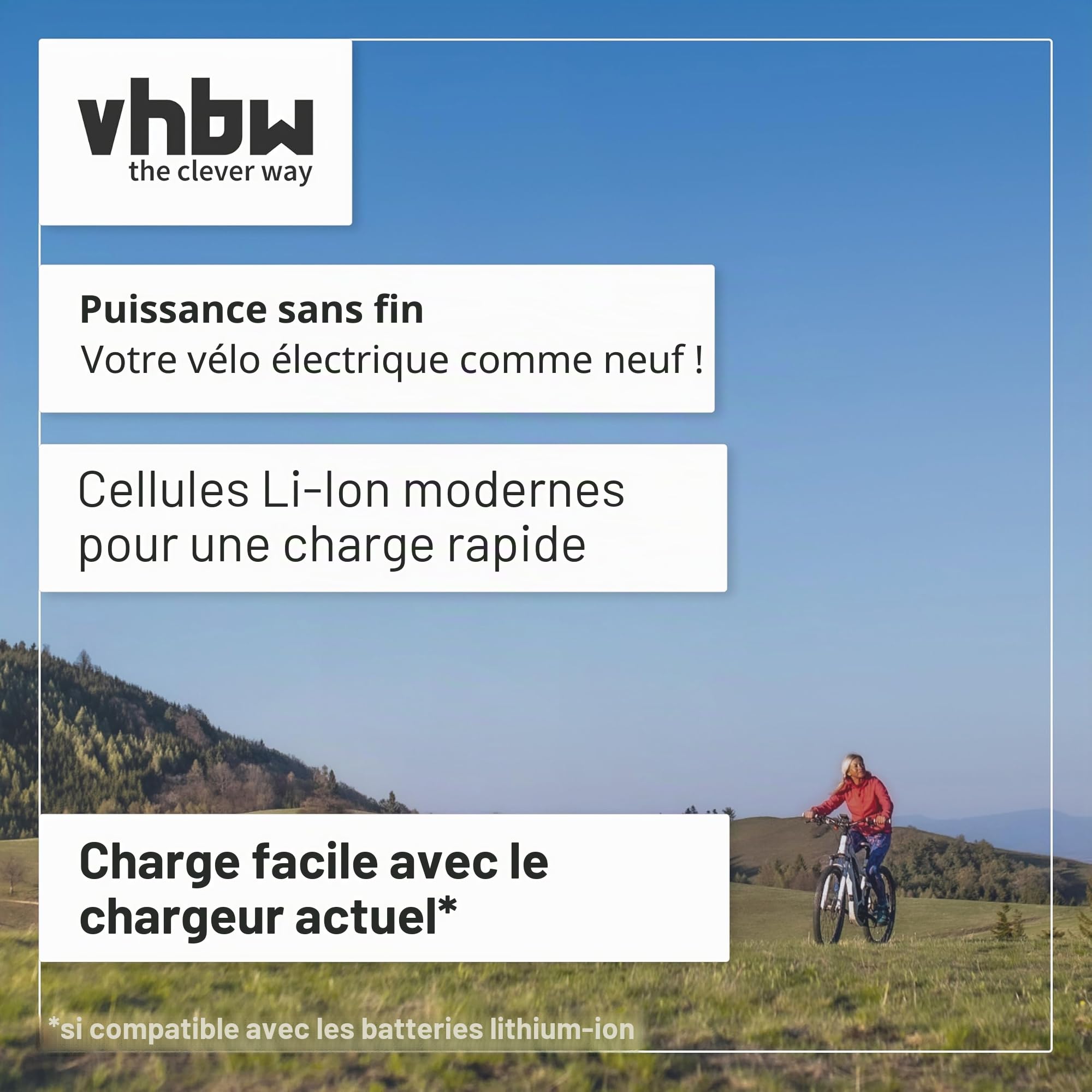 vhbw Batterie Compatible avec Flyer Cargo