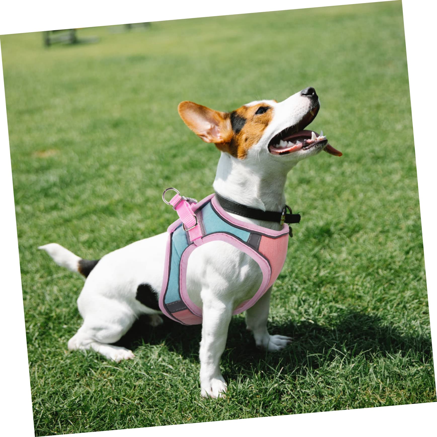 Happyyami 4 Ensembles De Harnais pour Animaux De Compagnie Collier pour Corde De Marche pour Gilet Réfléchissant Harnais pour Chats Réglable pour Chiot Laisse pour