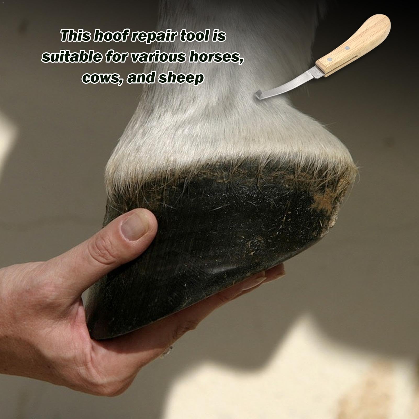 Cortadora de pezuñas de oveja, cabra, vaca, cortapezuñas de acero inoxidable, con mango de madera