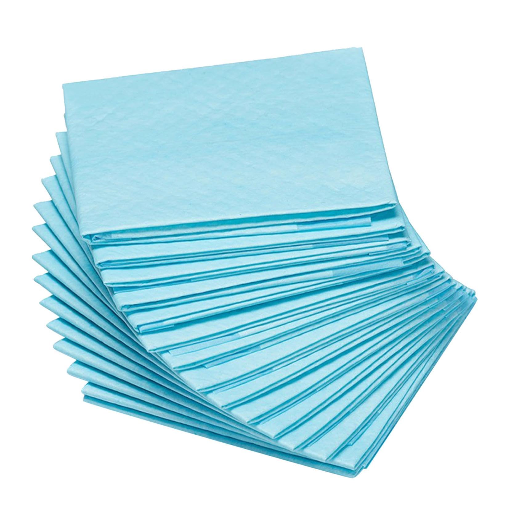 Pack of 10 Small Puppy Training Pads 33x45cm, No Leaking Quick Dry Dog Pads, Absorbent and Anti Slip Training Mat for Puppies (Blue)