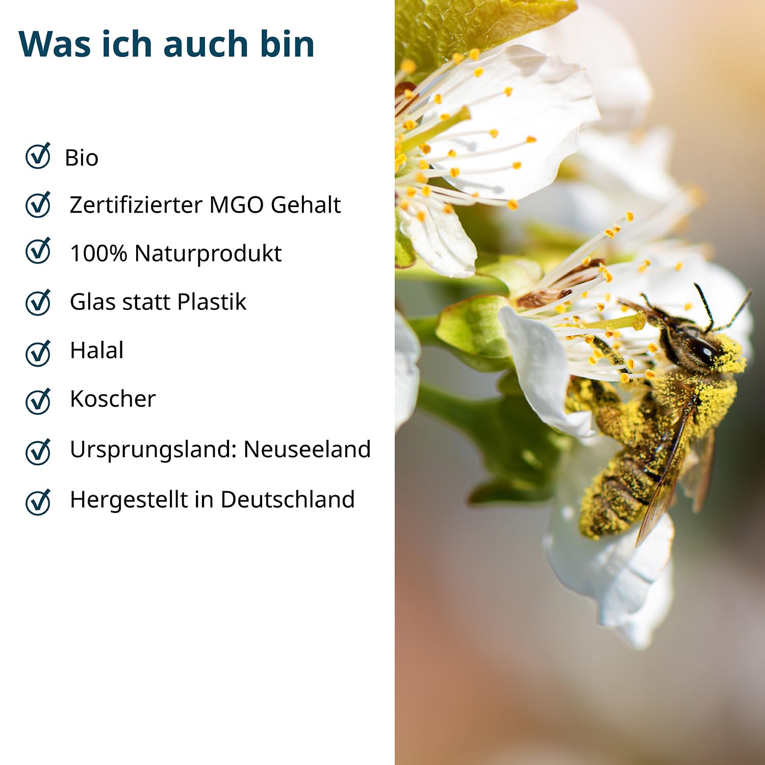 kindgesund Bio Manuka Honig für Kinder – Wohltuender Honig im Glas mit einem MGO von 200+ – 250 g