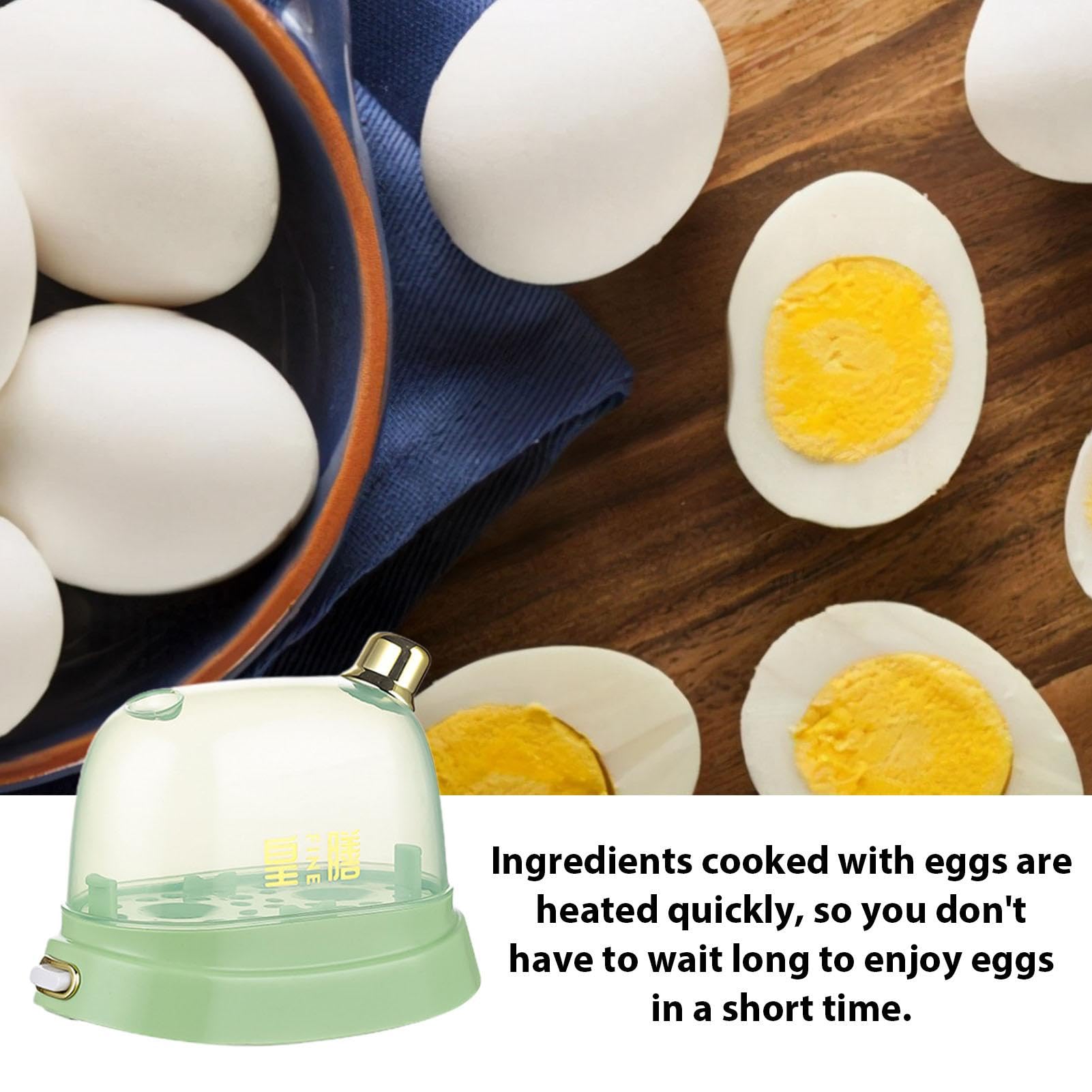 Amazon | 電気卵調理器 - 120W 小型電気卵蒸し器 | 220V 120W 小型電気