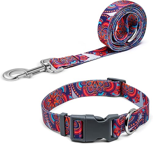 Pawhuggies Juego de collar y correa de poliéster para perros de tamaño mediano, juego de collar y correa de perro con impresión de transferencia,