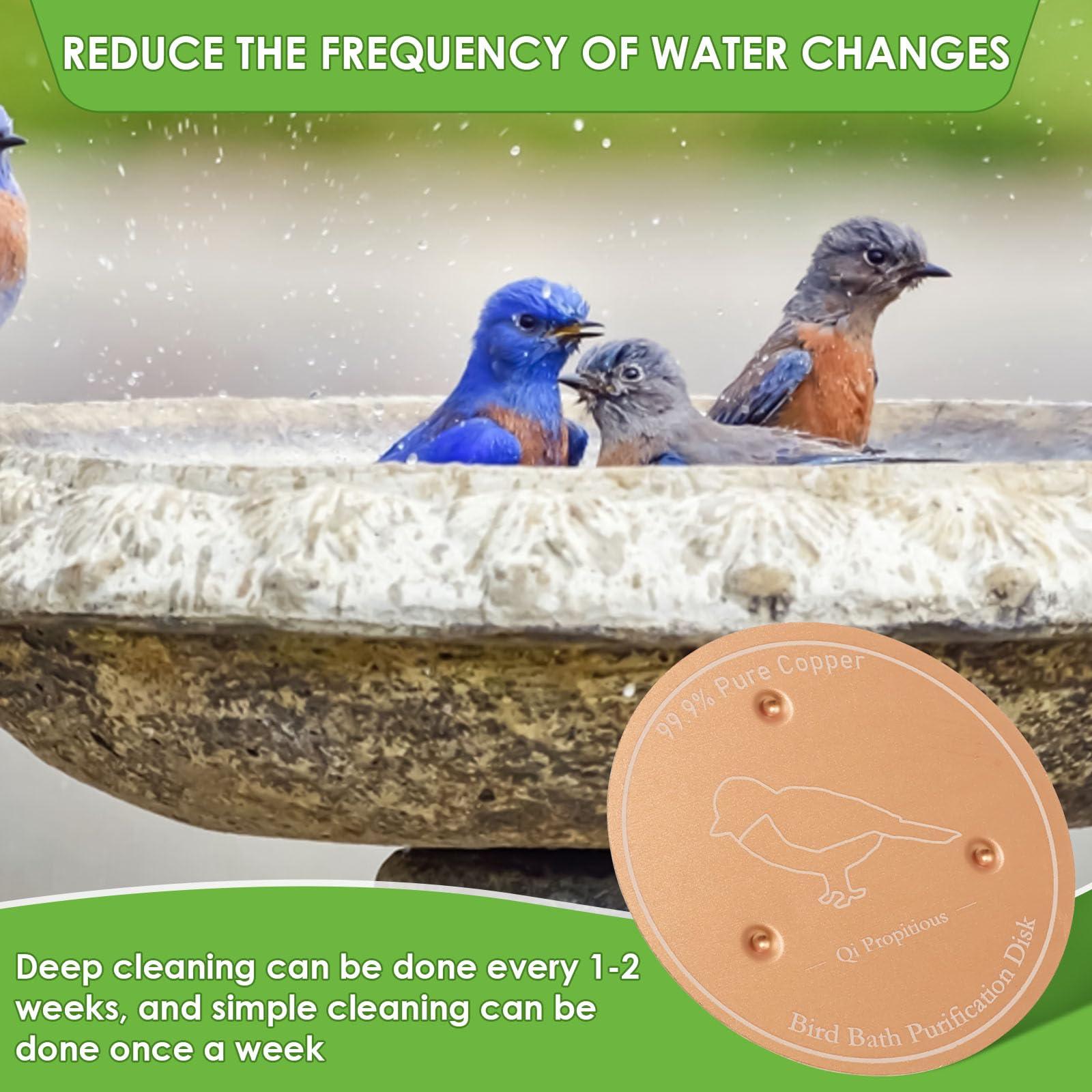 View 4