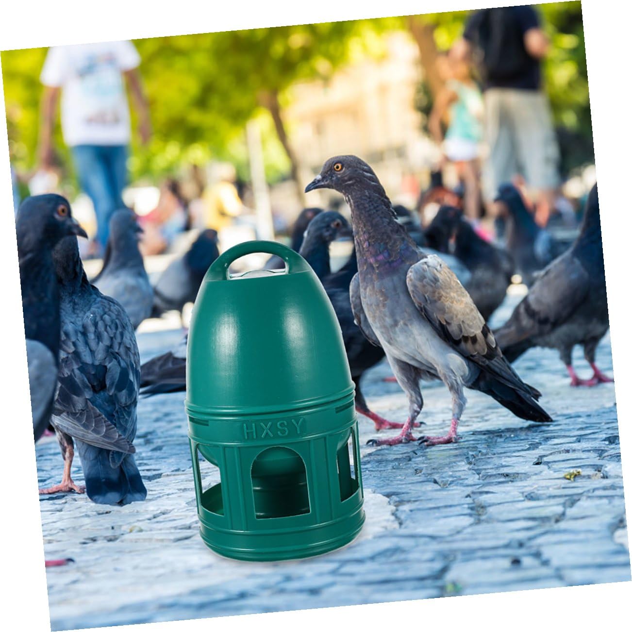 10l Taubentränke aus Kunststoff, Grün, Rund, Abnehmbar | Vogeltränke für Vogel und Taube, Leicht zu Reinigen, für Zoofachhandel und Familien