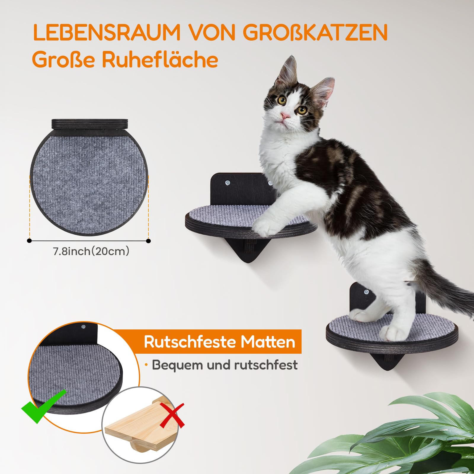 BSWAY Klimwand kattenset met kattenbed en 3 treden, kattenmeubel van