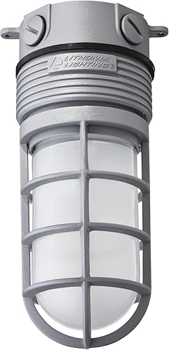 Lithonia Lighting OLVTCM M6 - Luz de vapor LED para montaje en techo, 4000k, 15 vatios, 600 lúmenes, 120 voltios, gris, MVOLT, gris
