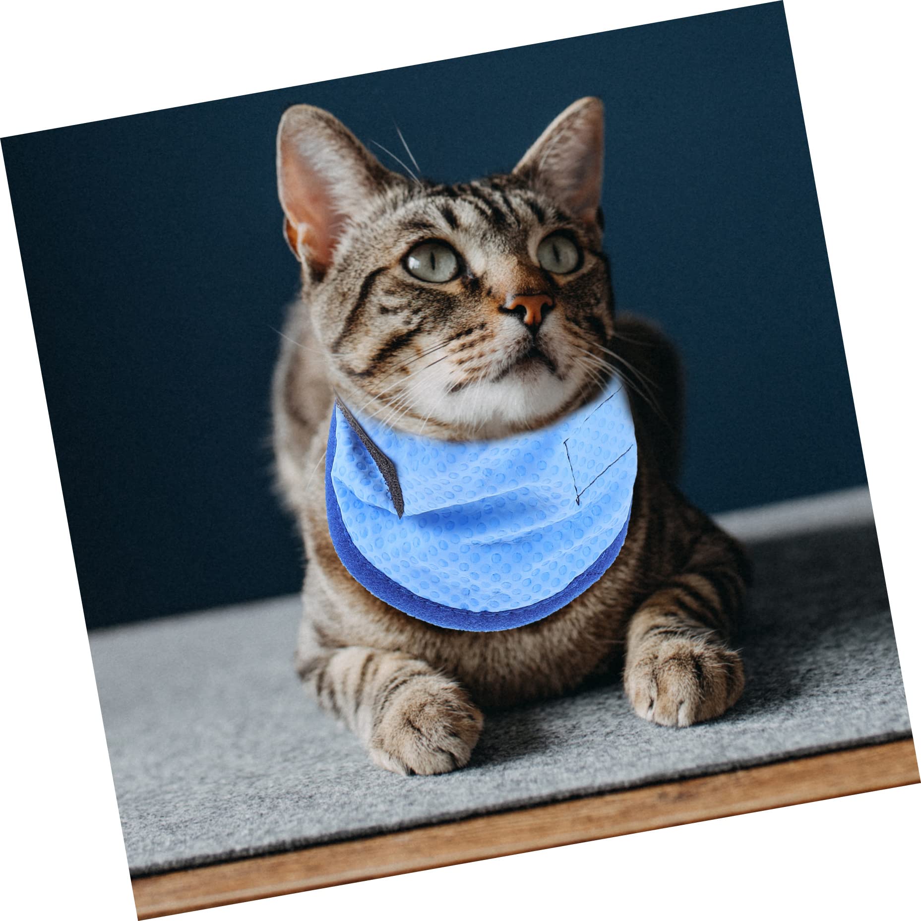 Mipcase 4stücke Pet Cooling Towel Für Hunde Atmungsaktiver Kühl-schal Für Sommeraktivitäten Leicht Und Tragbar Zur Temperaturregulierung Für Kleine Bis Mittelgroße Haustiere Mit