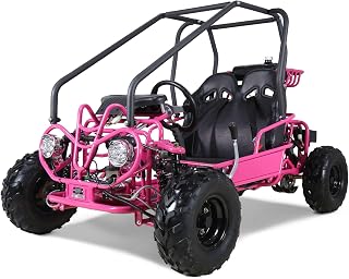 Kids Go-Kart Mini Dune Buggy image