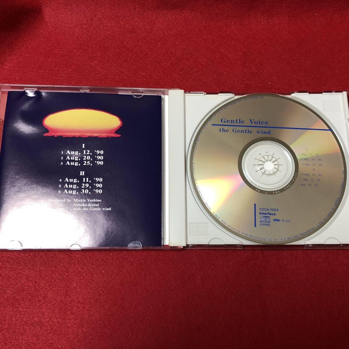 Amazon.co.jp: ジェントルヴォイス - ザジェントルウインド