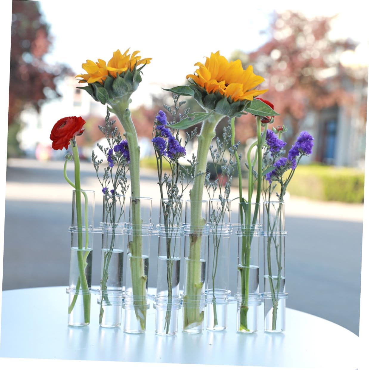 Sosoport 1Set Test Tube Vase for Hydroponic Plants Desktop Terrarium Decoration for Home Office Elegant Centerpiece for Plant Arranging and Special Occasions