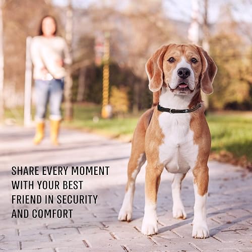 Miniatura 7 de Active Pets Collar de liberación rápida, collar transpirable para perros, collares para perros machos, collares para perros hembras, collares para