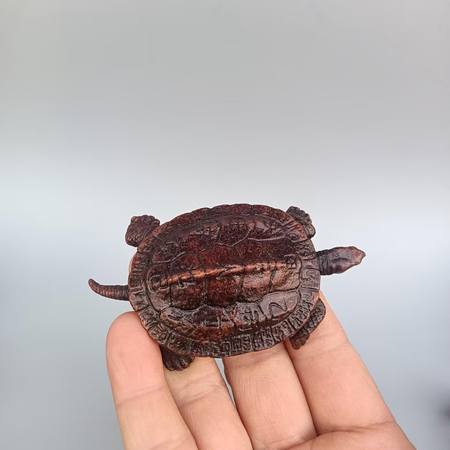 Tortue en laiton feng shui : éliminez les mauvaises énergies et harmonisez votre maison