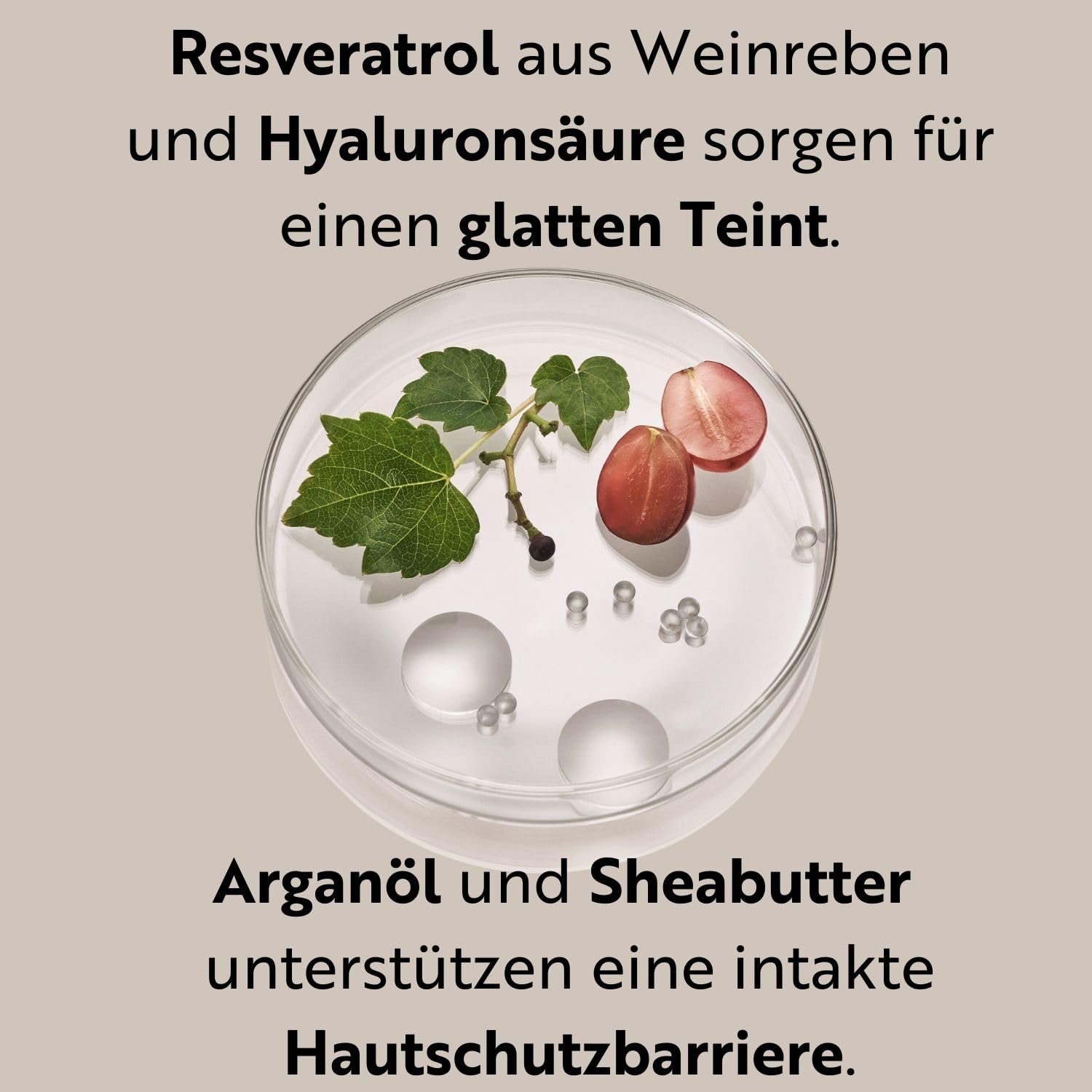 M. Asam Resveratrol Premium NT50 Longevity Exfoliating Face Scrub (100ml) | Hautverfeinerndes Gesichtspeeling für Glatte, Frische Haut, Gel-to-Foam Textur mit Traubenkernen