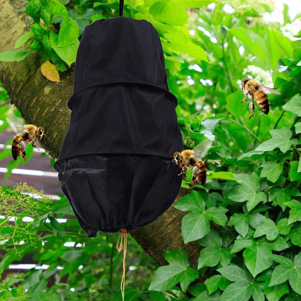 Piège À Essaim Cage D abeille Noire L épreuve Du Vent Capteur D Piège À Essaim Cage D abeille Noire L épreuve Du Vent Capteur D