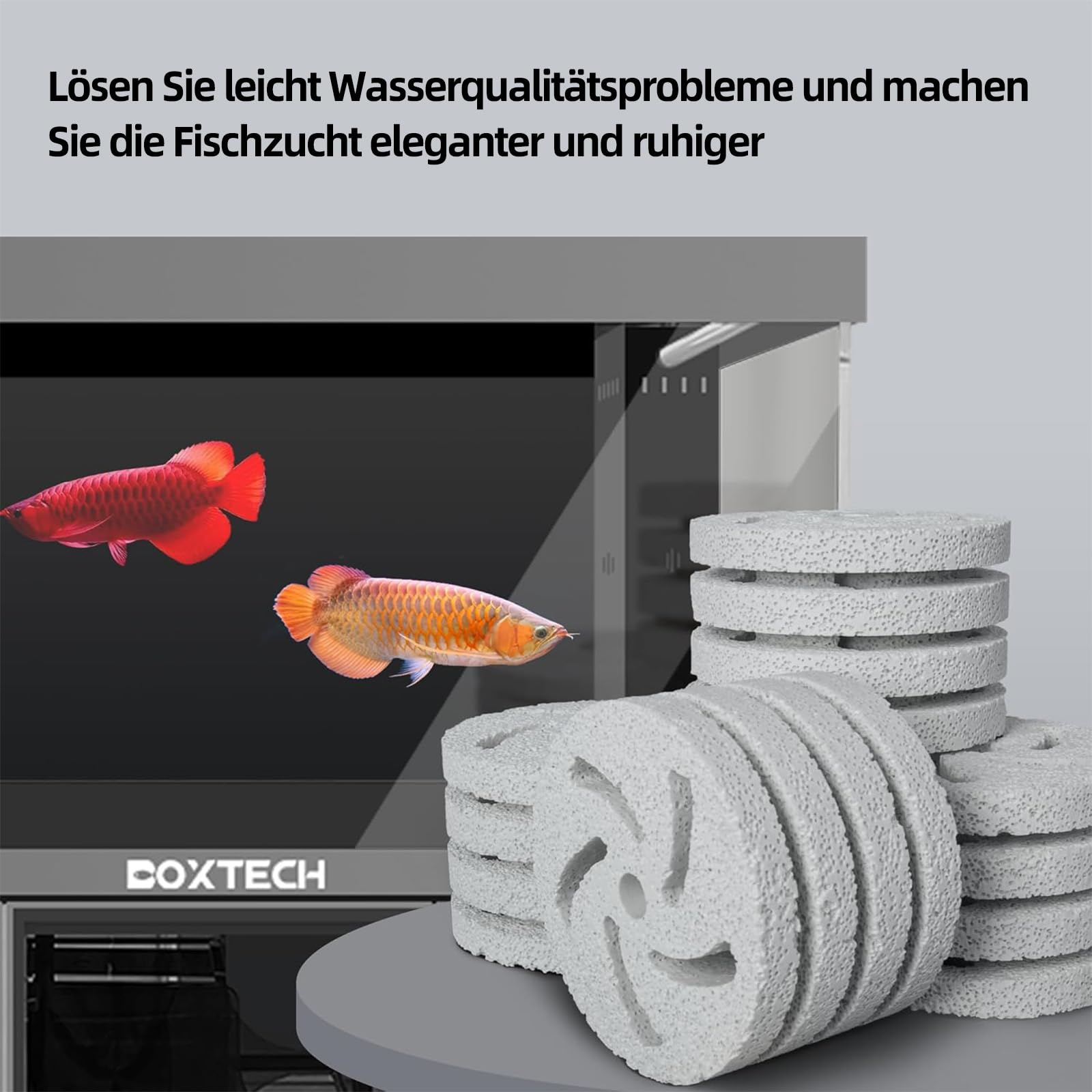 boxtech Filtro biologico per acquario