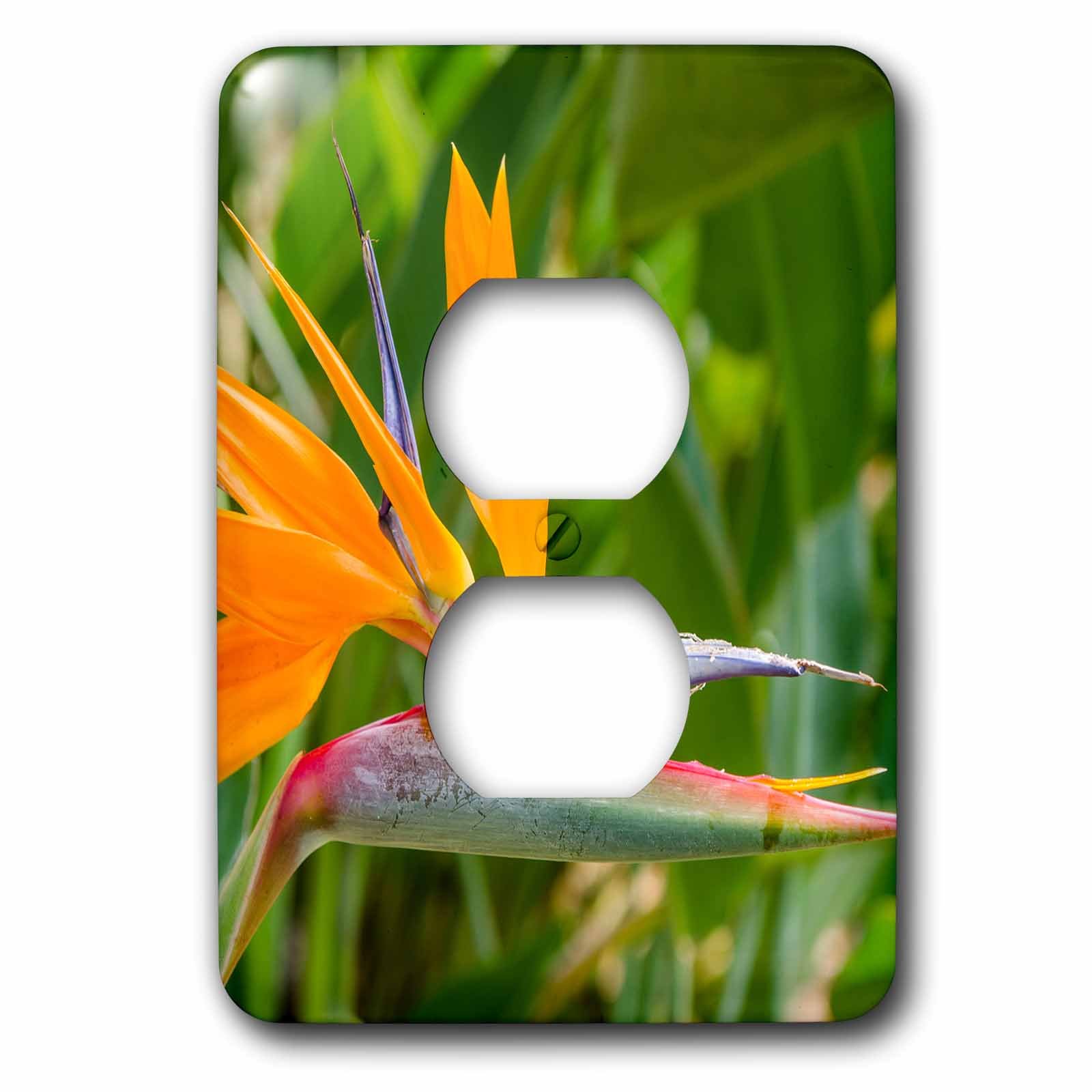 Cache-prise Strelitzia Reginae 3dRose lsp_259220_6 décor oiseau de paradis