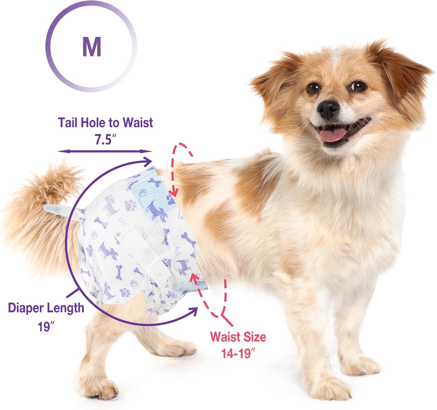 Pet Soft Female Dog Diapers - Disposable Doggie Diapers with Wetness Indicator, Puppy & Cat Diaper Super Absorbent, Fit for Female Dog in Heat or Incontinence, 40pcs (M, Mixed)