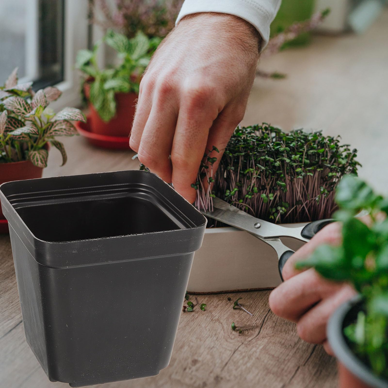 Gadpiparty Lot de 120 Pots en Plastique Noirs Carrés pour Semis avec Trous de Drainage, Réutilisables, Culture de Succulentes et Fleurs en Intérieur ou Extérieur