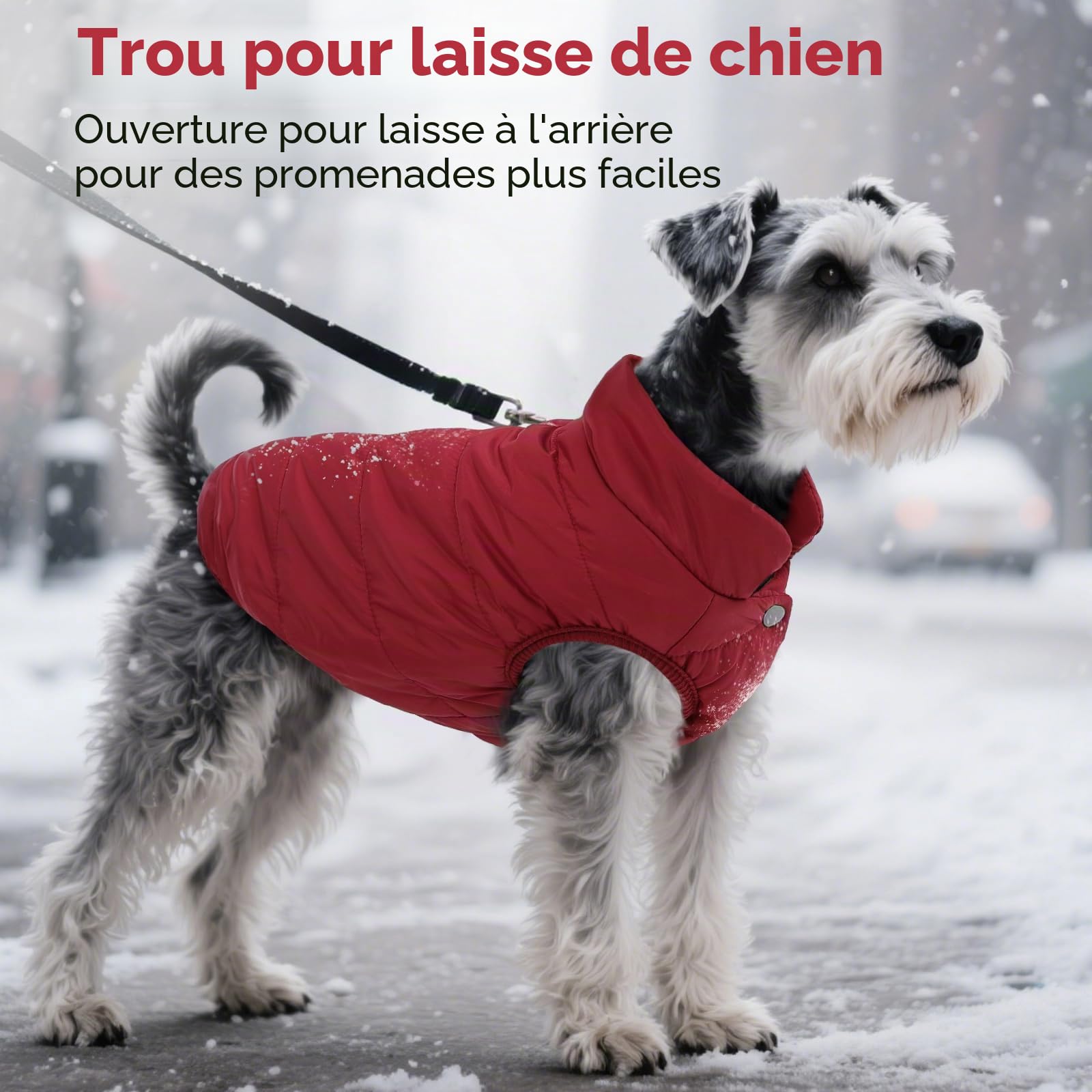 ASENKU Manteau Hiver pour Chien XS, Matelassé Doublure Polaire Arctique, Veste Chien Hiver Imperméable,Boutons-Pression & Ouverture Harnais, pour Caniche, Chihuahua, Promenade Ville, Neige et Pluie