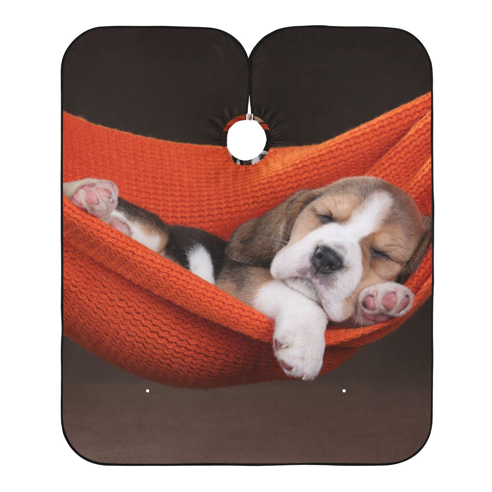 Do Beagles Get Haircuts