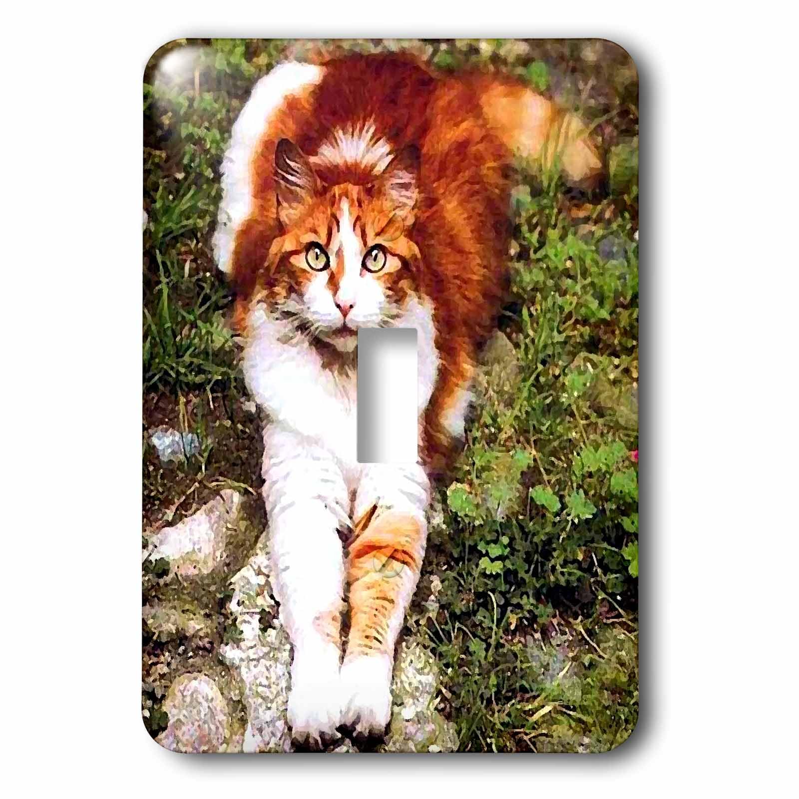 Interrupteur à bascule simple orange cat de 3dRose avec vis de fixation incluses