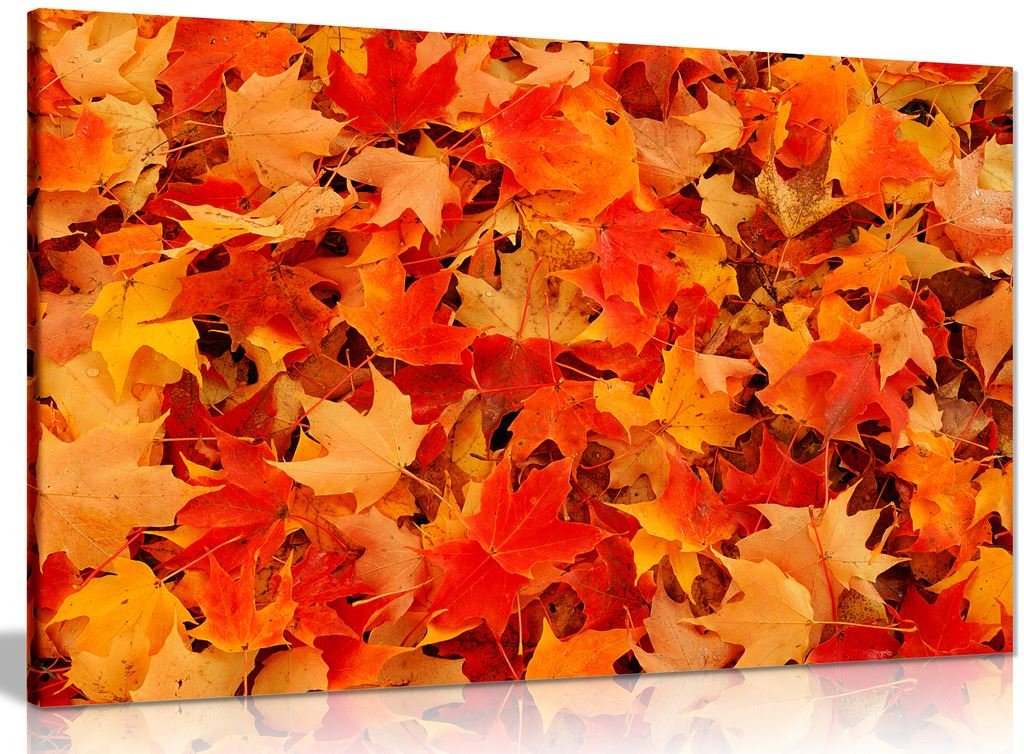 Panther Print Orange,Red Leaves Art Autumn Red Orange Canvas Wall Art Picture Print (18X12in)