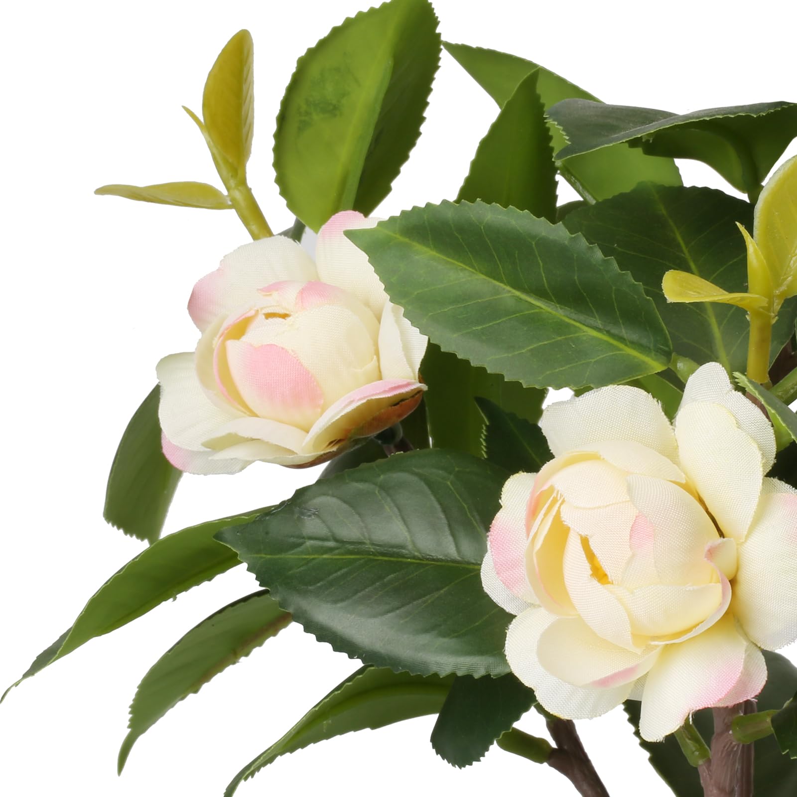 Piante Finte Da Interno Pianta Artificiale Camelia In Vaso - 28cm Altezza - Decorazione Per Casa E Ufficio - Senza Manutenzione Bonsai Pianta Vera