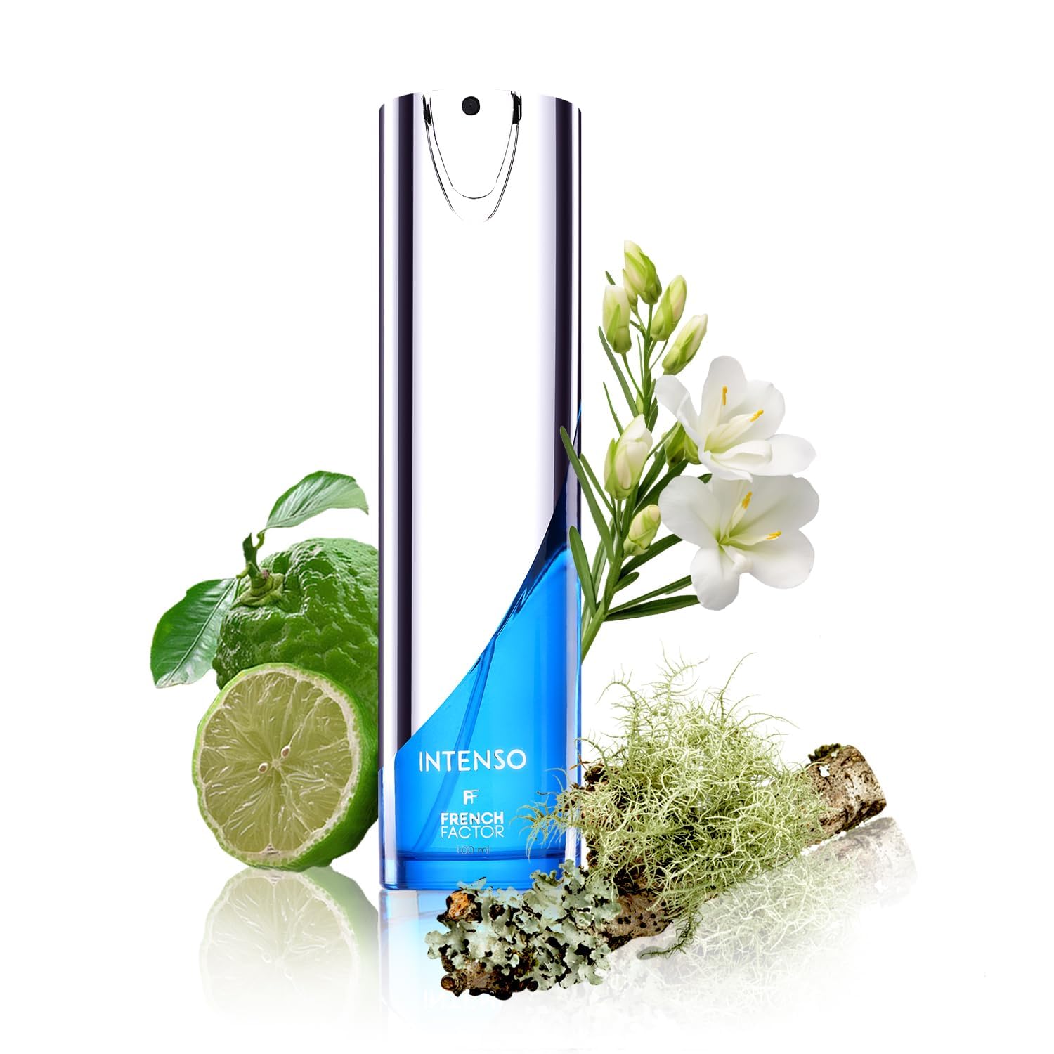 French Factor Intenso Party Perfume For Men Long Lasting Fragrance Luxury Perfume Edp Gift For Boys