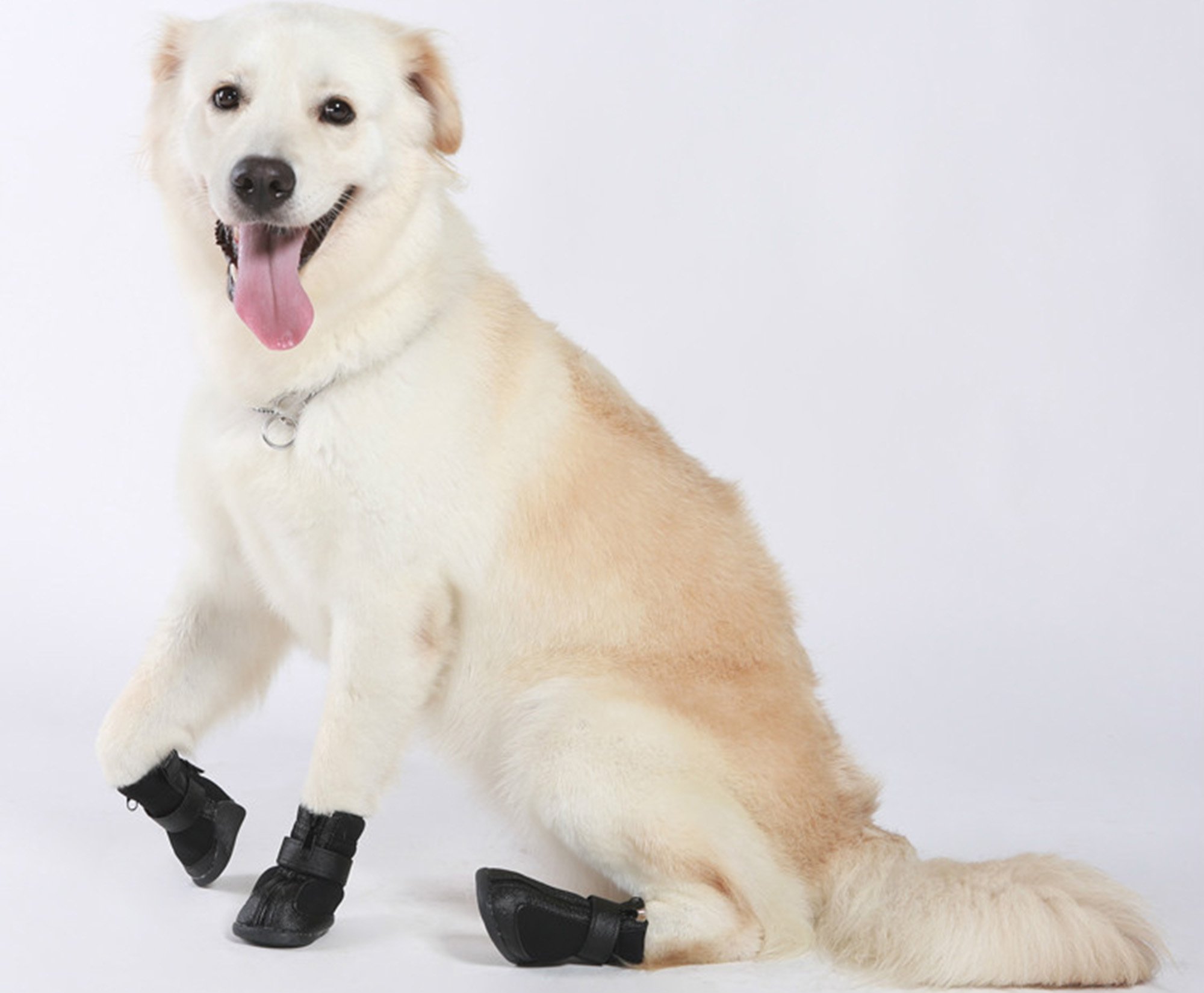 Dog Boots Shoes Golden Retriever Boots 