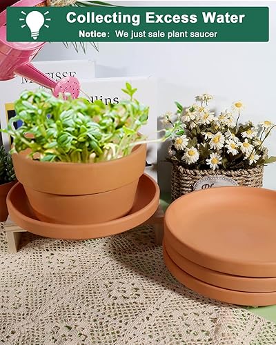 Miniatura 4 de Platillo grande de terracota de 9 pulgadas para plantas, 4 platillos grandes y redondos para macetas, bandejas grandes de arcilla perfectas para