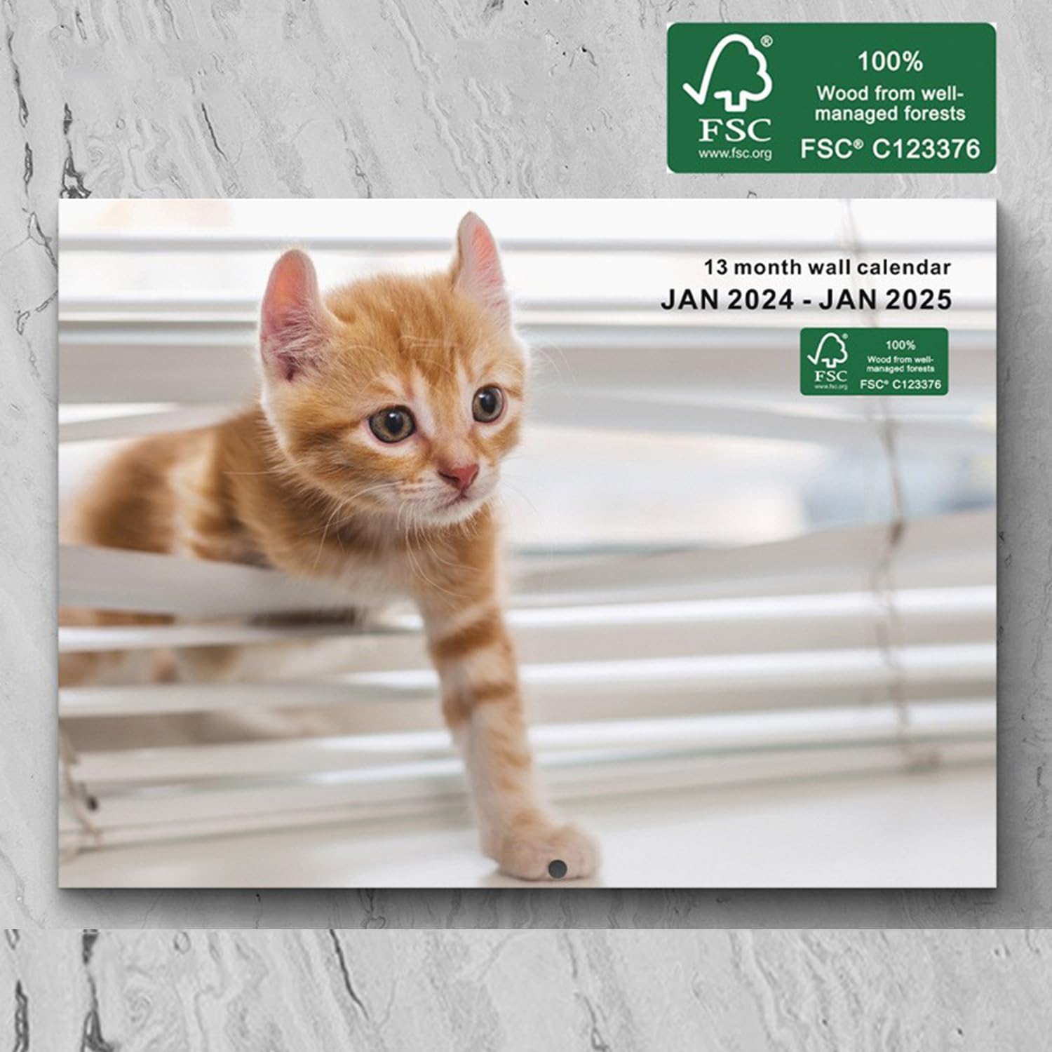 PAHOO 2024 Wall Calendar,Cat Calendar 2024, Jan 2024 - Jan 2025, Wall Calendar Kitten, 11.2" x 16.5" Opened,Full Page Months Thick & Sturdy Paper for Gift Perfect Calendar Organizing & Planning