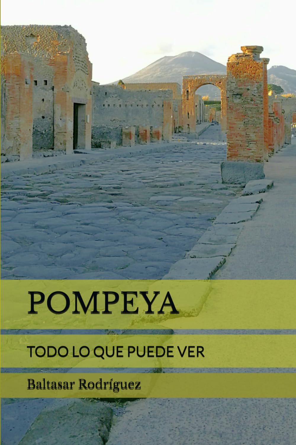 POMPEYA: TODO LO QUE PUEDE VER