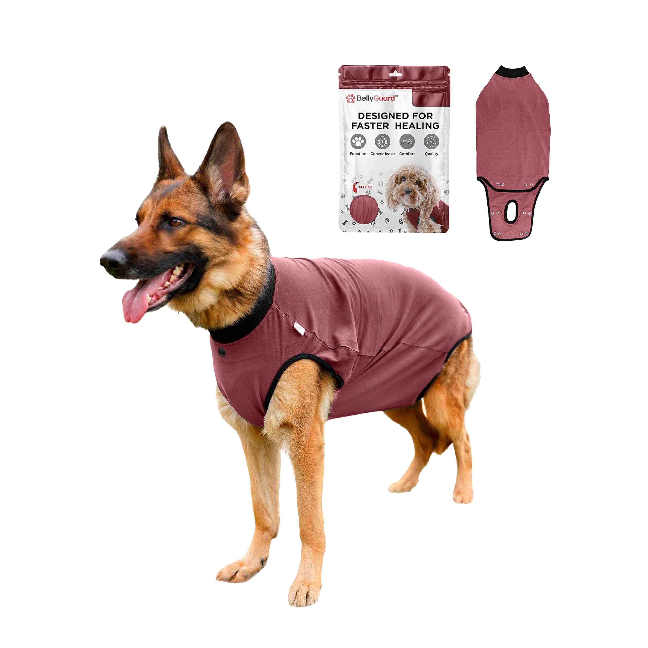 BellyGuard Dog Surgery Recovery Suit, Male Female After Spay Neuter Onesie
