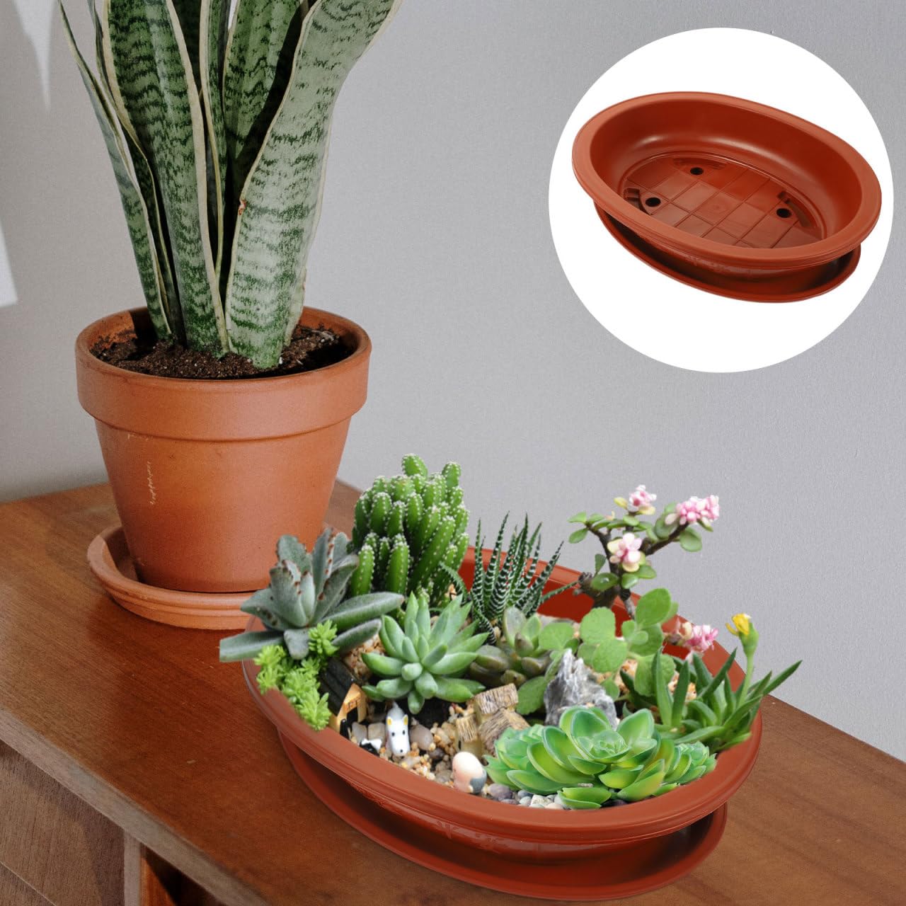 Mikikit Maceta para Bonsái de Plástico Duradera de Grande para y para Interior y Exterior Incluye Bandeja de Drenaje