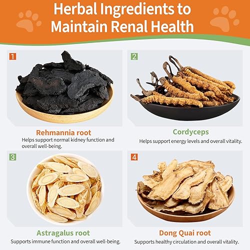 Miniatura 4 de Apoyo renal 6 en 1 para perros y gatos - Promueve la función renal saludable, niveles de energía y equilibrio de líquidos - Suplemento herbario