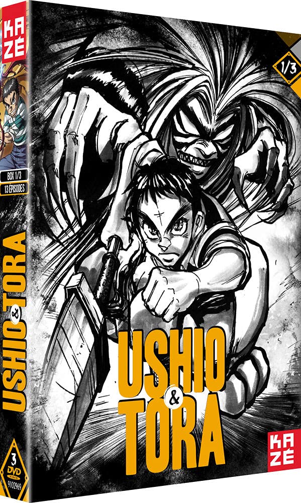 Ushio & Tora Box 1 DVD ideal para tardes de maraton de animacion retro en el salon de casa