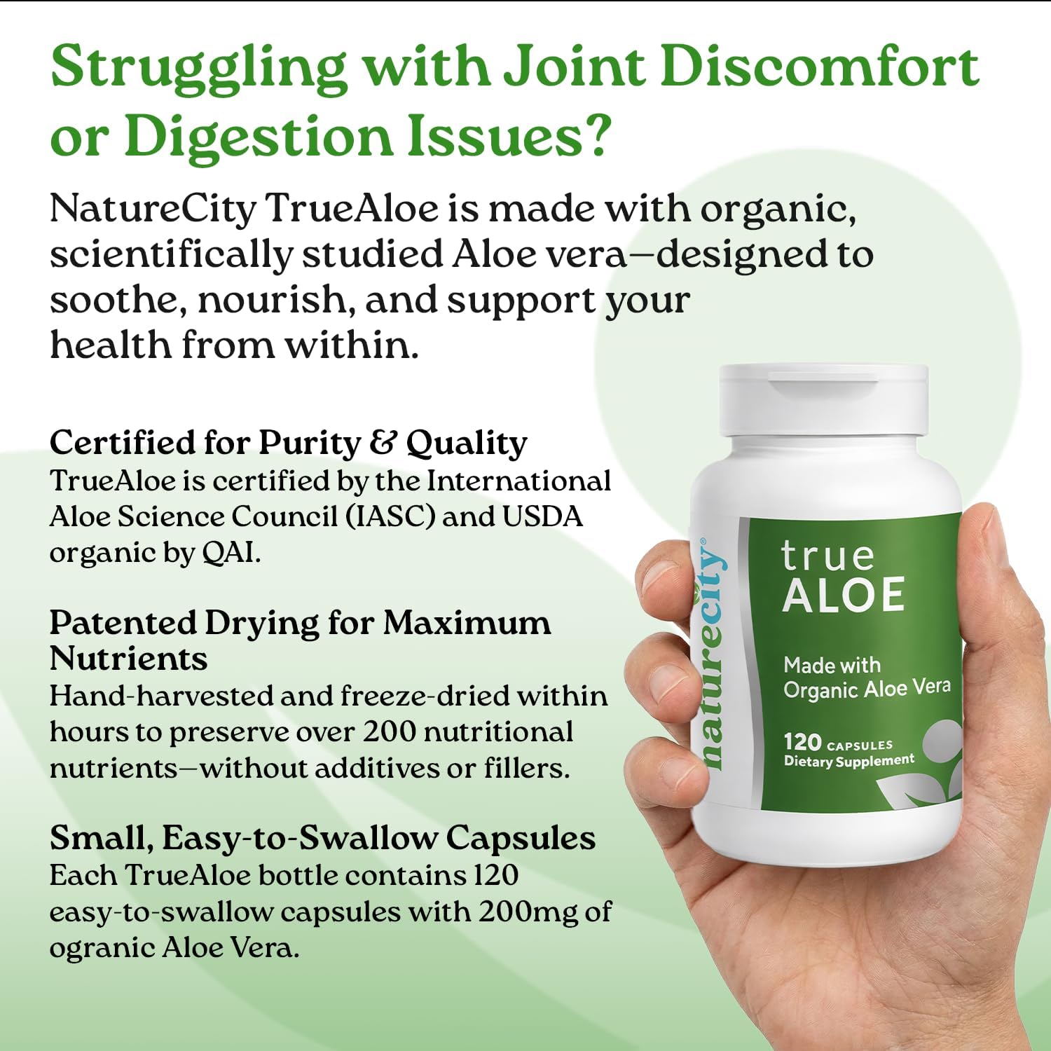 NatureCity TrueAloe Organic Aloe Vera Capsules - Supports Digestive Balance, Joints and Stomach Comfort - Plant-Based Aloe Barbadensis Powder - Easy-to-Swallow Single Ingredient Formula - 360 Caps