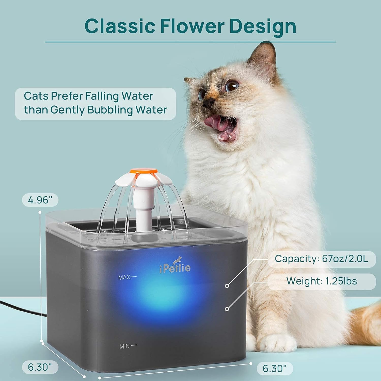 iPettie Neverland Cat Water Fountain with LED Light, 67oz/2.0L, Ultra Quiet Cat Drinking Fountain with Filter, Automatic Pet Water Fountain for Cats and Small Dogs, Grey : Pet Supplies