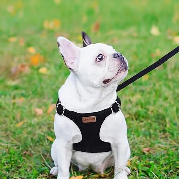 Dog Harness and Leash Set, XXS No Pull Adjustable Puppy Harness with Multifunction Pink Dog Leash and Dog Collar, Soft No Choke Escape Proof Pet Harness Vest for Small Dogs and Cats (Black, XXS)