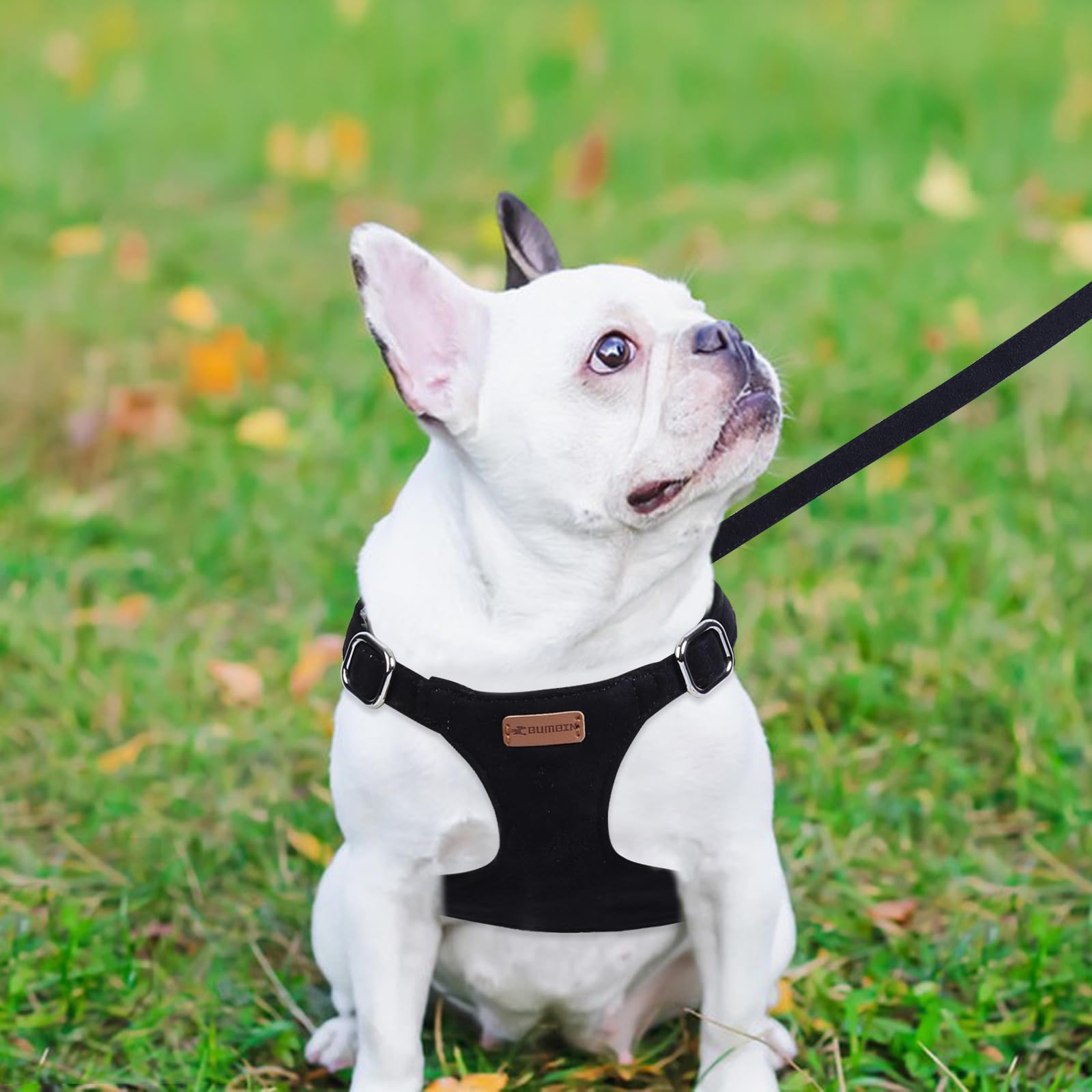 ThinkPet No Pull Harness Breathable Sport Harness With Handle-Dog Harnesses Reflective Adjustable For Medium Large