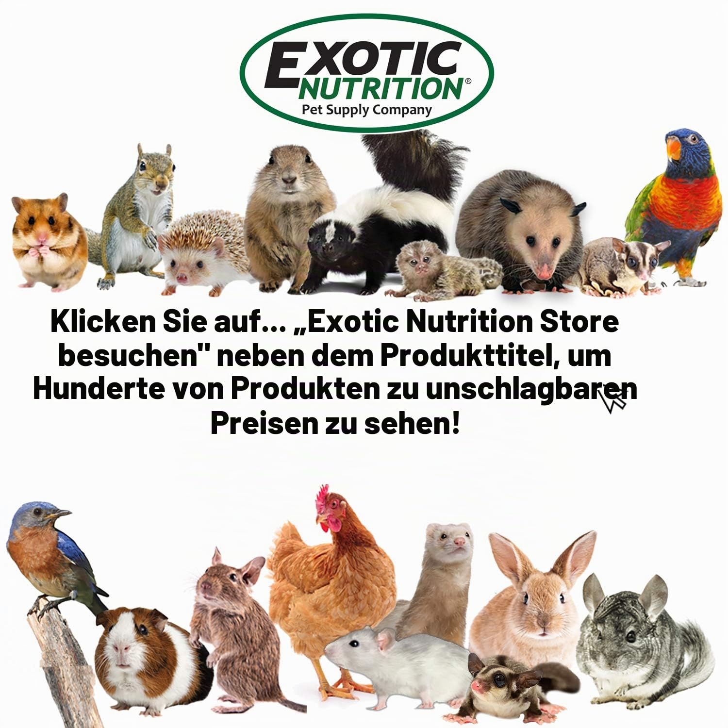 Exotic Nutrition Silent Runner 30,5 cm breit + Sandschiene, Käfigbefestigung