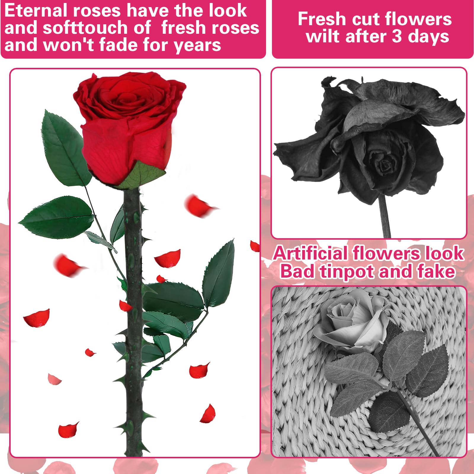 Rosa Eterna Stabilizzata Vera in Scatola Regalo per Donna
