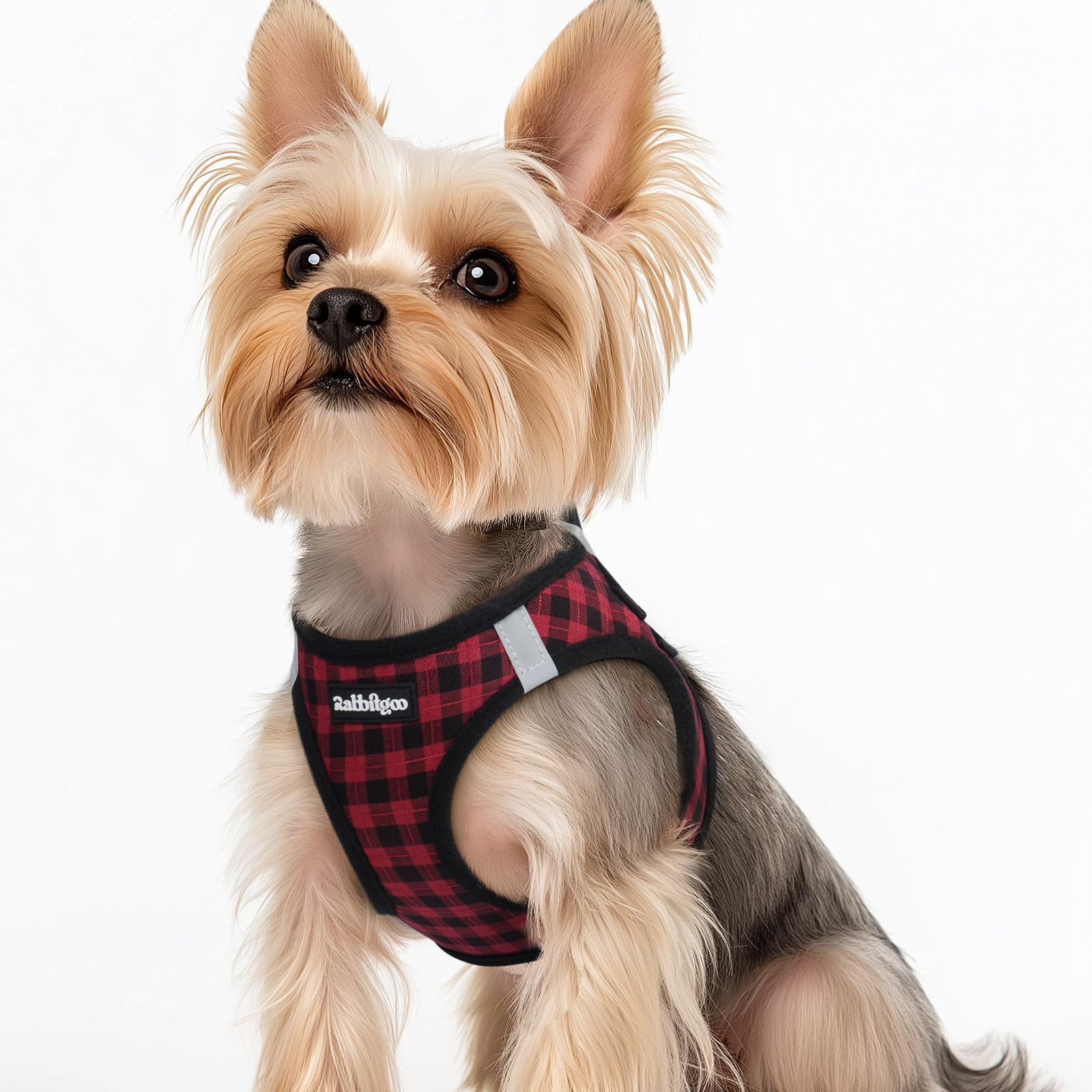 rabbitgoo Hundegeschirr kleine Hunde, Step-in Soft Mesh Hundegeschirr mit Sicherheitsverschluss, atmungsaktives und reflektierendes Welpengeschirr für kleine Hunde