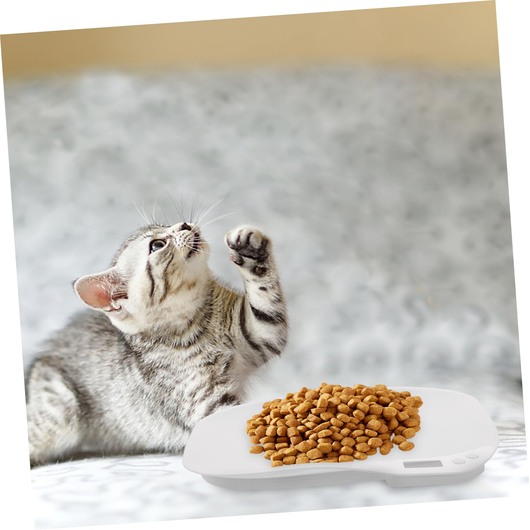 BESPORTBLE Balance Électronique pour Animaux de Compagnie Pèse-bébé Mini Précision Capteurs Haute Sensibilité Usage Domestique Chatons Chiots